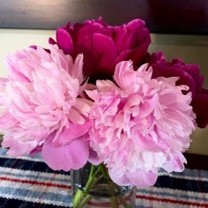 Meet your Posher, Anne